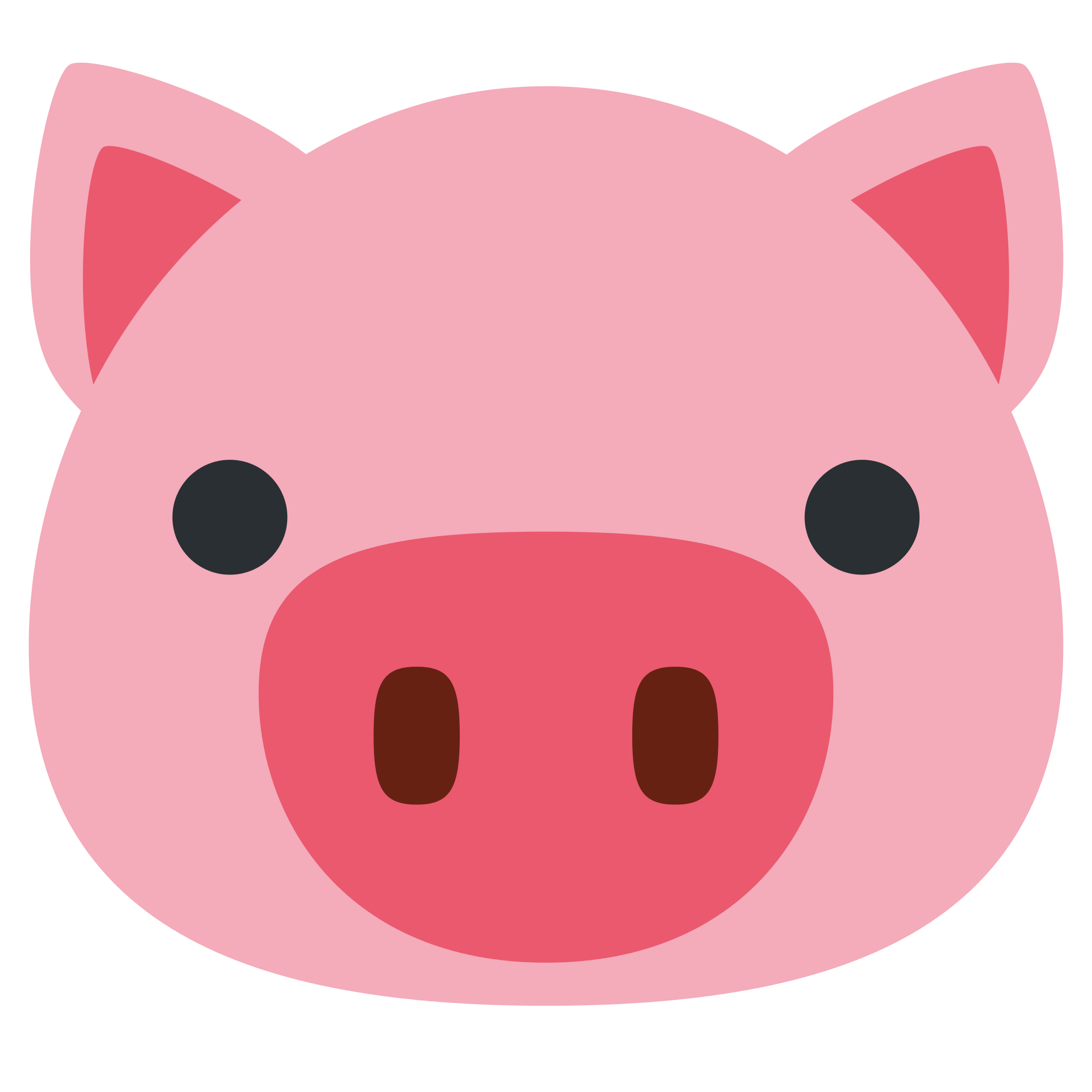 pig